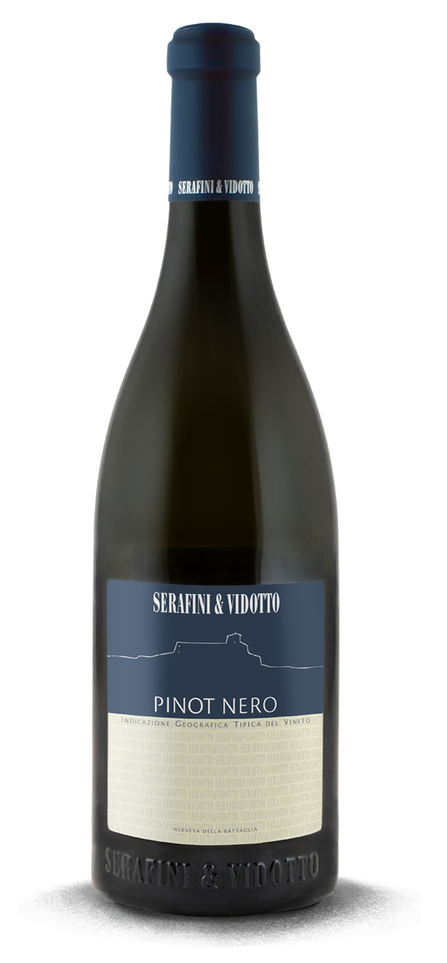Pinot Nero Veneto 2023 - Serafini e Vidotto